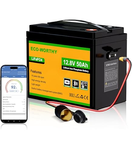 LiFePO4 48V 200Ah Batteria EconomiPower, 2 pezzi, Lifepo4 48V 100Ah con celle di grado A, 10,24KWh di energia utilizzabile per caravan, motori da traino, accumulo di energia
