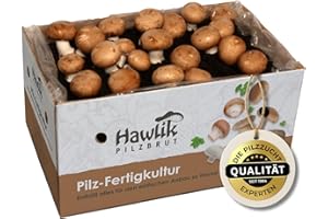 Hawlik Pilzbrut Champignons selber züchten – Steinchampignon Pilzzuchtset XXL – Pilze kinderleicht anbauen – Großes Komplettset - Pilze züchten Set ideal für Anfänger/als Geschenke für Gartenfreunde
