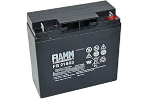 Original FIAMM Akku 12V 18Ah Batterie Akku FG21703 / FG21803 UPS USV GF 21703