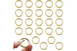 24 Pezzi Scatto Molla Rotonda, VEGCOO Anello Portachiavi 28mm Anelli Aperti, Moschettoni a Innesco Gancio Fibbia Portachiavi-O per Zaini, Portafogli, Bagagli Cinghie, Artigianato (Oro)