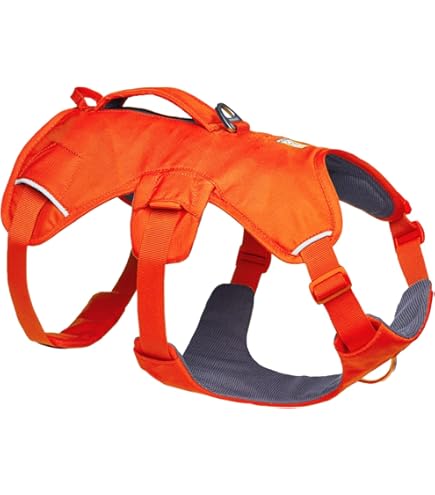 Ruffwear Hondenrugzakken kopen? ✔️ Tot 26% korting