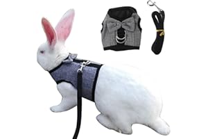 Huiouer Pettorina per coniglio e guinzaglio con grazioso papillon e campana in rete guinzaglio regolabile per piccoli animali coniglietto gattino