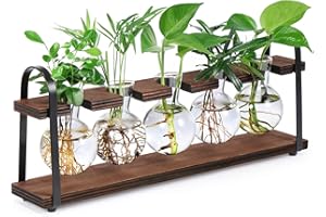 THYGIFTREE Stations de propagation de plantes avec support en bois, bulbe de terrarium de bureau pour la propagation de plantes hydroponiques, fleurs