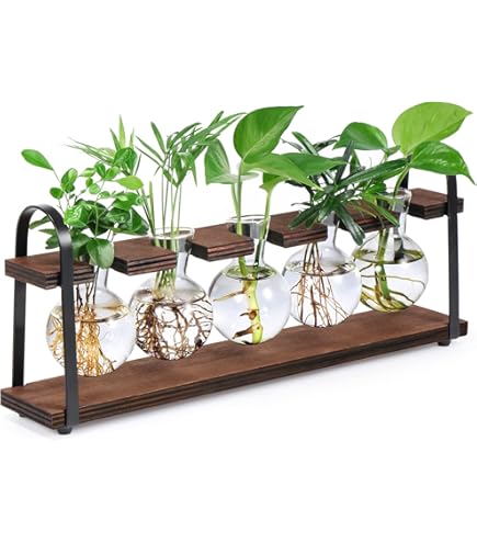 Plant Propagation Buddies - 12pcs Cute Plant Cutting Holders For Stems & Sprouts, Indoor Garden Supports