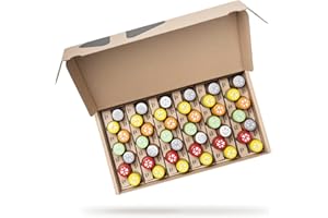 ‎KLOSTER KITCHEN Kloster Kitchen Bio Saftkur Alternative | 6 Wochen Ingwer Shot Kur | 6 Sorten | 42x 30 ml mit echten Ingwerstückchen I Ingwershot vegan I süß-scharf ohne Zusatzstoffe & mit natürlicher Süße