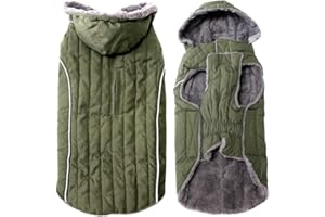 JoyDaog Polarowa bluza z kapturem dla małych psów, super ciepła kurtka dla szczeniaka na mroźną zimę, płaszcze dla psów, zielona XS