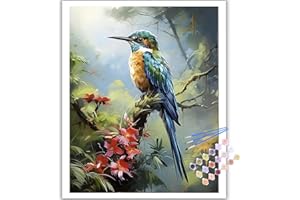 Mafenr Art Peinture Numero Adulte, Colibri Peinture par Numéro Adulte, Colibri Paint by Number pour Décoration et Cadeaux, Sans Cadre (40x50 cm)