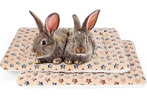 RANYPET 2 Pcs Guinea Pig Bed Mat - Rabbit Bed House Warm Fleece Sleep Pad for Squirrel Hedgehog Bunny Chinchilla and Other Small Animals,Washable, Five Pointed Star Pattern,20x13.4 inch
