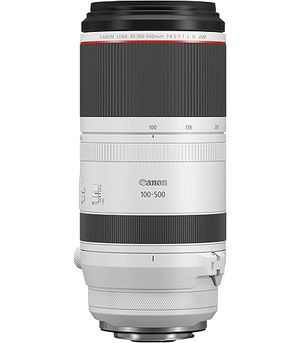 Canon EF 100-400mm f/4.5-5.6L IS II USM Lens - Professional L