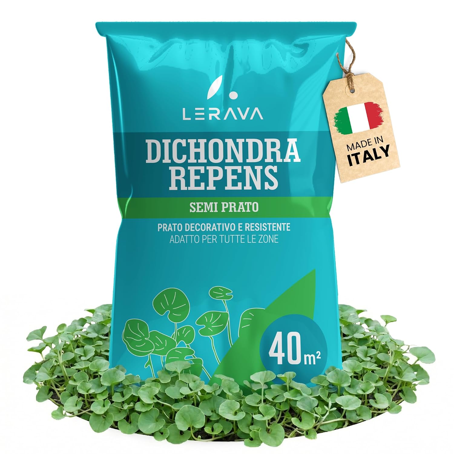 LERAVA Dicondra semi (40m²) - Non richiede taglio - Estrema resistenza alla siccità - semi dicondra per prato ideali per zone soleggiate e ombreggiate - dichondra repens sempre perfetto - 400g