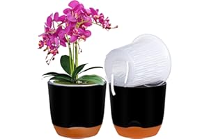 QCQHDU Lot de 2 pots à orchidée avec trous pour rempotage double couche et auto-irrigation avec bonne circulation de l'air (noir, 14,5 cm)