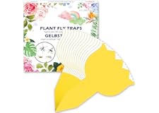 KAVAWADA 16 PCS Fruit Fly Traps, Fungus Gnat Sticky Traps