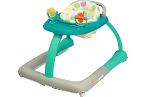Bambisol Trotteur Bebe Evolutif 2 en 1 | Pousseur et Marcheur pour bébé, Jeux Hochets, Pliage Ultra Compact | Green