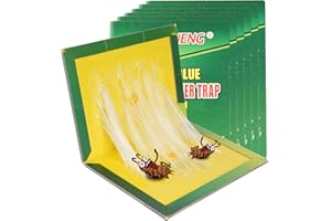 Flintronic 6 Stück Klebefallen, Schädlings Klebepads Falle, zur Schädlingsbekämpfung, für Drinnen/Draußen/Küche/Garten/Haus/Büro