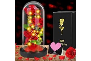 ZZQVIP Piękna i Bestia Róża, Wieczna Czerwona Róża z Sosnowymi Diodami LED i 1 Kartką z Zyczeniami, Prezent na Dzień Matki, Walentynki, Urodziny, Rocznicę ślubu, Boże Narodzenie (ciepłe światło)