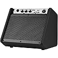 Salasabil DM20 20W Electric Drum Amplifier Keyd Amp Wireless BT Speaker 2-Band EQ Supports USB MP3 Player Function