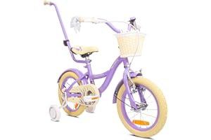 sun baby Flower Bike Vélo pour Une Fille 12 14 16 Pouces, Vélo Enfant 2-6 Ans, avec Barre de poussée, Panier, Sonnette