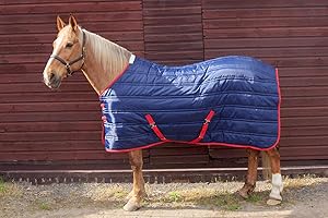 John Whitaker Unisex's Thomas Stable Rug