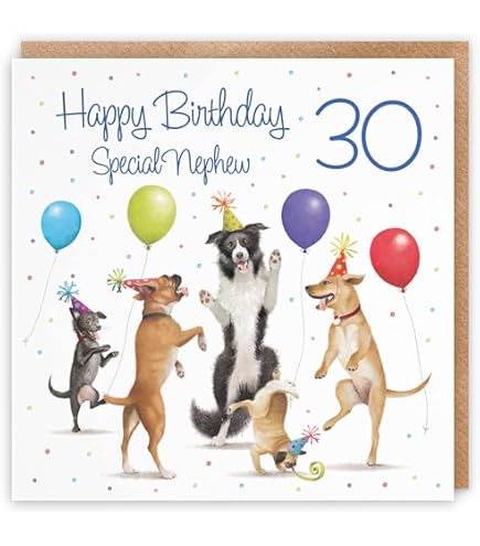 Funny Nephew Birthday Cards - Cards & Gifts