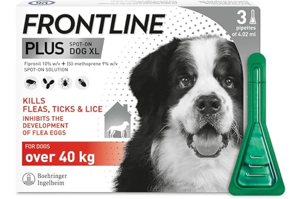 dog tick flea medication