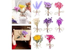 skytowards 8 Bündel Getrocknete Blumen Natürliche Trockenblumen Mini Gepresste Blumen Trockenblumenstrauß Gemischte Bunt Getrockneter Blumenstrauß 10CM Dry Flowers für DIY Basteln
