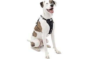 Kurgo Enhanced Strength Tru-Fit Dog Car Harness, Crash Tested, Steel Nesting Buckles, Includes Seatbelt Tether, Medium-Black