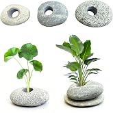 LIULINY 6 Pieces Opening 2 cm Plant Stand Aquarium Stone | Aquarium Water Plants Fixed Ring Stone and Cotton Transplanted, We