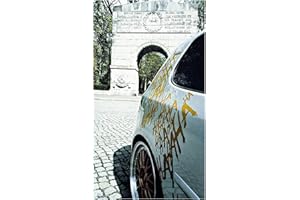 FINEST FOLIA Finest-Folia - Adhesivo decorativo para tuning (dorado metálico 091)