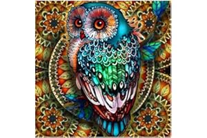 ZHUJIEHIGH 5D DIY Pintura de Diamantes, Diamond Painting Kit Completo, Cuadros Punto de Cruz Pintura de Diamantes Painting por Números para Decoración Adultos Niños, 30x30 cm/Búho