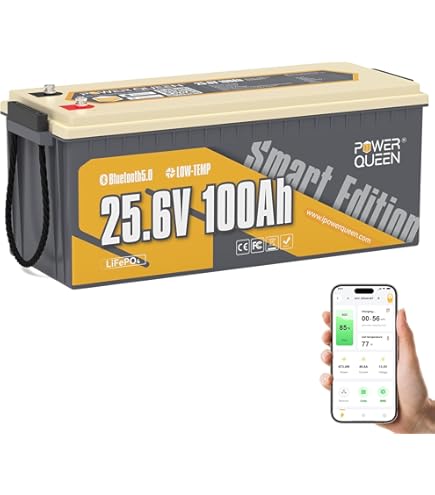 LiTime 29,2V 20A LiFePO4 Lithium Batterijlader, Opzetbare LiFePO4 Acculader met Koelventilator en Meerdere Veiligheidsbeveiligingen, Li-ion Acculader is Ontworpen voor het Opladen van LiFePO4-accu's