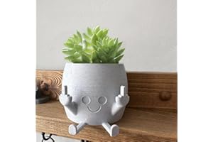 LEEWENYAN Póts à Fleurs pour Plantés Succulentes, Pot à Plantes Souriant avec Doigt du Milieu, Home DéCor de Plantes Vertes, Pot à Fleurs pour Les Amateurs de Plantes pour L'IntéRieur et L'ExtéRieur