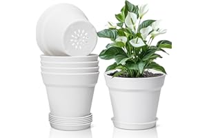 ‎T4U T4U 16cm Kunststoff Blumentopf mit Untersetzer, 6er-Set Plastik Übertopf Kräutertopf mit Mehrere Ablauflöchern, Rund Pflanzkübel für Innen und Balkon Sukkulenten Kaktus, Weiß