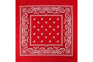 Alsino Pañuelo cuello/cabeza Bandana Zandana, motivo Paisley, 100% algodón