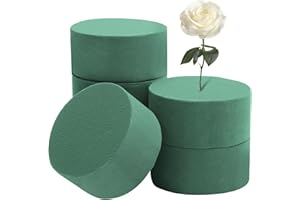 APOMOONS Mousse Florale pour Fleurs 6 pièces, Mousse pour Fleurs artificielles, éponge pour Fleurs fraîches, Mousse Ronde de 8 cm pour familles Mariages fleuristes (Verte)