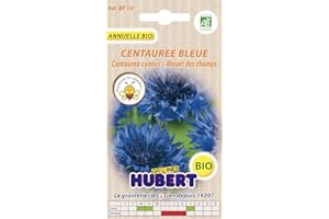 GRAINES HUBERT SEMENCES & ENGRAIS MAIROL Graines de Centaurée Bleue bleuet des champs BIO - 2 grammes