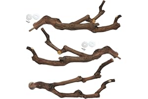Kathson Natürliche Sitzstangen aus Wildreben mit Krallenpflege-Gabel, Kletter- und Sitzästen für Langschwanzsittiche, Unzertrennliche - 3-teiliges Set für Käfigzubehör zum Kauen und Spielen