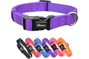 Olahibi Soft and Comfortable Neoprene Padded Nylon Basic Dog Collar Solid Color pattern for Medium Dogs(M, Purple Collar)