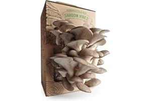 GENERISCH Pilz-Zucht Set | Frische Pilze jederzeit | Austernpilze züchten ohne Vorkenntnisse | Hervorragendes Edelpilz Aroma | Leicht verständliche Anzuchtanleitung | Hochwertige Pilz-Zucht
