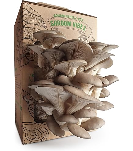 Biologische paddenstoelkweekset | 100% biologisch | zonder genetische manipulatie | kweek het hele jaar door | paddenstoelen binnenshuis | dagelijks sproeien
