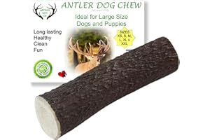 ARTISAN GIFT CO Naturally Shed 100% Natural Premium Deer Antler Chew for Dogs (L - 1 Unit)