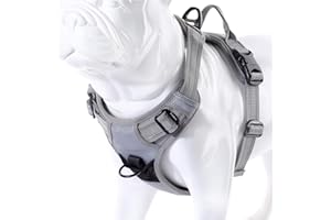 MOKCCI Truelove Soft Front Dog Harness .Reflective No Pull Harness with Handle and 2 Leash Attachments