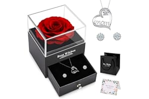 NEWUPZSI Prezent na Boże Narodzenie, Dzień Matki, wieczna prawdziwa róża, czerwona, zakonserwowana róża, pudełko prezentowe z łańcuszkiem i kolczykami, prawdziwe kwiaty, prezent dla matki, mamy, róży na Dzień Matki