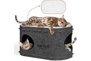Pawtasy Cuccia Gatto, Cuccia per Gatti in Feltro, Casetta da Intern, Casa per Gatto con Cuscino Imbottito Rimovibile e Lavabile, Robusta e Antigraffio, 58 x 33 x 30 cm