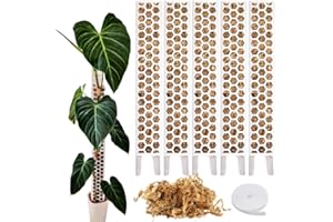 PlantScraper Moosstab für Monstera Rankhilfe Zimmerpflanzen Zubehör Set - 4 x Pflanzstäbe, Pflanzen Klettband & Moos - Optimiert für Aroiden - Kletterpflanzen Befestigung - 35 x 6 cm - Set (Weiß)