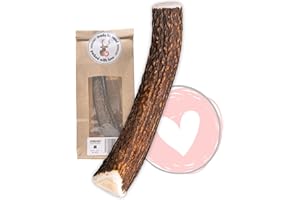 FOURLEGS® natürlicher Kausnack für Hunde aus 100% Hirschgeweih - Mineralstoffe, Kauspielzeug, Kaustange, Wildgeschmack, Geweih, Knochen, Hirsch, Kauartikel - Größe M ganz