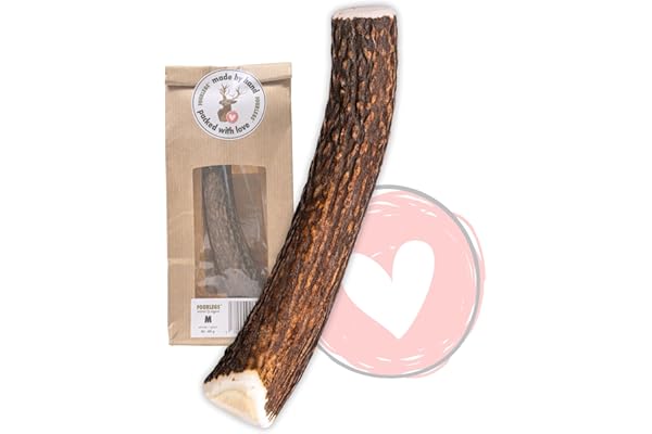 FOURLEGS® Friandises Naturelles 100% en Bois de Cerf pour Chien - avec des Minéraux, Goût Venaison, Os à Mâcher - Taille M Entier