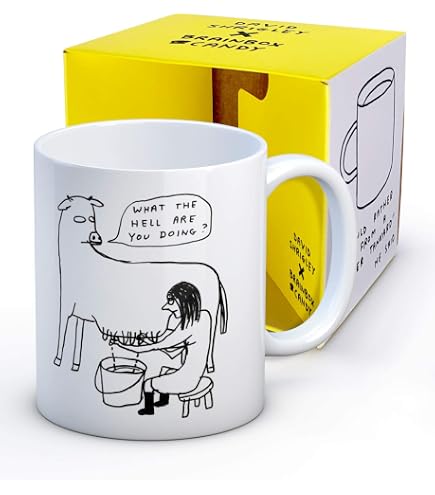 Offizielles David Shrigley Skizzenbuch - „My Artwork Is Terrible“, 144 Seiten, 148x210 Mm, Humorvolles Design