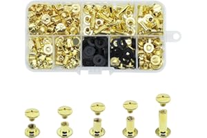 JINTANG 100 Juego de tornillos Chicago, remaches para cuero kit 4/6/8/10/15 mm, metal tornillo clavo remache botón Chicago, para DIY cinturón de cuero artesanía libro (dorado)