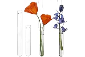 ‎COMFORDER comforder 12 Reagenzgläser für Blumen zum hängen, Reagenzglas Vase mit Loch zum aufhängen, Fensterdeko hängend, Hochzeitsdeko, Tulpenvase Glas, Blumen Vasen Deko, Hängevase Glas Set (10 cm)
