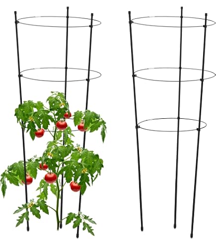 KADAX Rankhilfe 6er Set – 90 Cm Pflanzenstütze Aus Stahl, Für Tomaten & Kletterpflanzen KADAX Rankhilfe 6er Set – 90 Cm Pflanzenstütze Aus Stahl, Für Tomaten & Kletterpflanzen